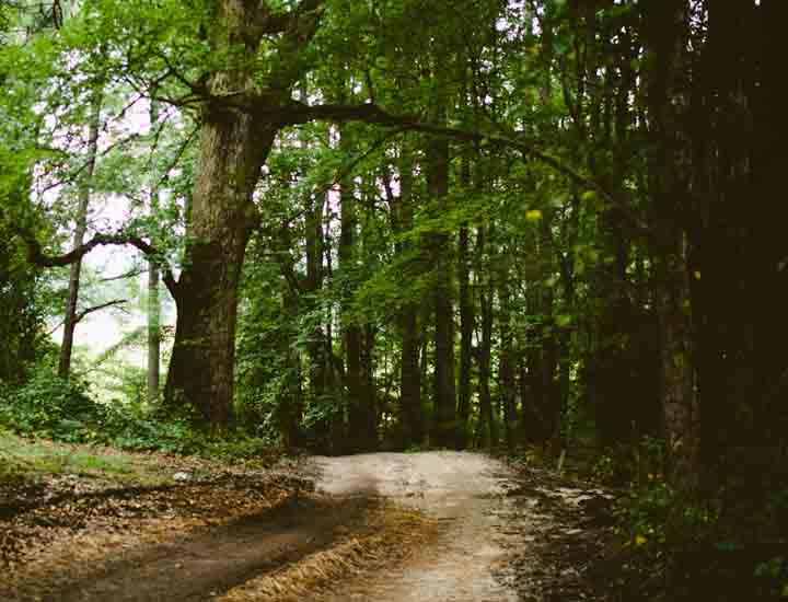 免费电话短信轰炸机