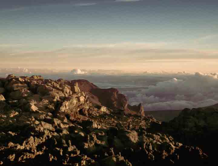 免费电话短信轰炸机