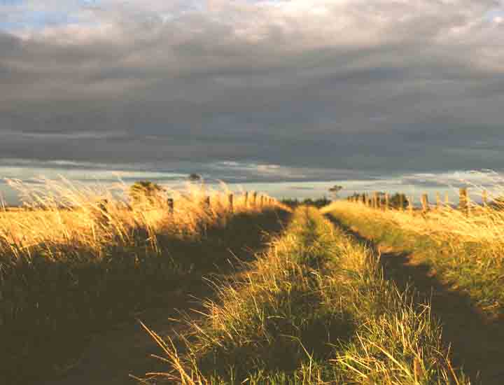 网页电话直接拨打